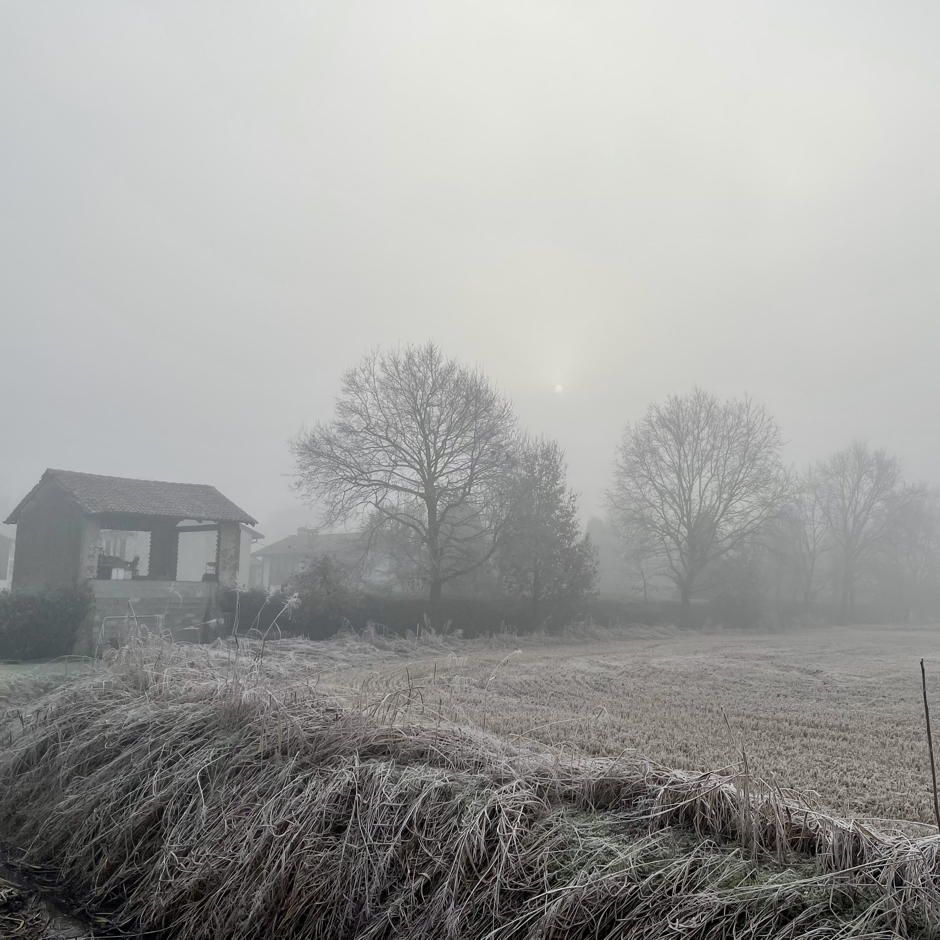 Descrizione dell'immagine